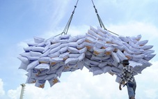 Lộc Trời trúng thầu 100.000 tấn gạo, thu về trên 55 triệu USD
