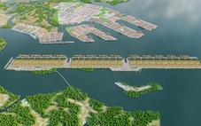 Cảng trung chuyển quốc tế Cần Giờ là dự án quan trọng của Đông Nam Bộ, làm trước và sau 2030