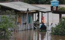 Thảm hoạ mưa lũ ở Brazil, ít nhất 39 người thiệt mạng