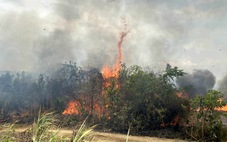 Đám cháy thiêu rụi khoảng 90ha rừng keo và ruộng mía tại Khánh Hòa