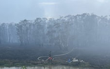 Cháy Vườn quốc gia Tràm Chim: Chủ tịch tỉnh Đồng Tháp giao công an điều tra