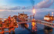 Petrovietnam duy trì tăng trưởng dù giá dầu giảm mạnh