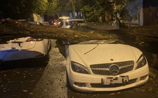 Mưa kèm gió lớn khiến cây đổ đè lên nhiều ô tô ở Hà Nội