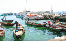 Cảng An Thới chưa hiệu quả, bộ đề nghị chuyển UBND tỉnh Kiên Giang khai thác
