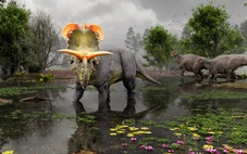 Phát hiện loài khủng long có sừng giống mũ sắt của nam thần