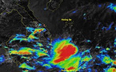 Chủ động ứng phó với vùng áp thấp khả năng mạnh lên thành áp thấp nhiệt đới, bão