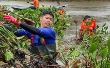 Hàng trăm người trẻ Đà Nẵng dầm mưa vớt bèo khơi thông hồ 20.000 mét vuông