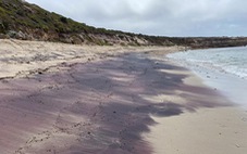Bãi cát hồng bí ẩn ở Úc hé lộ điều bất ngờ dưới Nam Cực