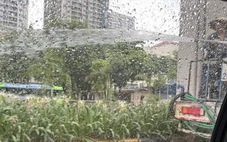 Sở Xây dựng Hà Nội kiểm tra thông tin công nhân tưới cây giữa trời mưa tầm tã