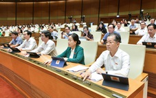 Quốc hội đồng ý cho Đà Nẵng lập khu thương mại tự do