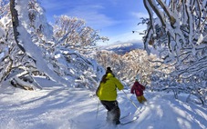 Mùa trượt tuyết ở Australia có thể rút ngắn một nửa do trái đất ấm lên