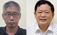 Bắt cựu nhà báo 'Osin' Huy Đức và luật sư Trần Đình Triển