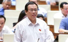 Đại biểu Quốc hội đề xuất thí điểm dân bầu trực tiếp chủ tịch Đà Nẵng