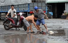 Đường BOT đầy ổ gà ở Đồng Nai: Sửa chữa bằng nguồn vốn sự nghiệp