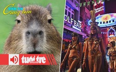 Điểm tin 8h: Kiếm bạc tỉ nhờ bán gấu bông Capybara; Thái Lan cảnh báo chiêu bán tour phá giá