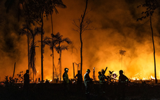 Cháy rừng Amazon tồi tệ nhất 20 năm: 6 tháng 13.489 vụ cháy