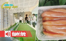 Điểm tin 8h: Đà Nẵng cho thuê chung cư số lượng lớn; Trứng cá chuồn Việt Nam hút khách
