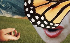 Mưa trên cánh bướm của Dương Diệu Linh tranh giải ở Liên hoan phim Venice