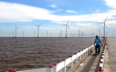 Bộ Công Thương vẫn muốn ưu tiên tập đoàn nhà nước làm điện gió ngoài khơi