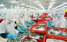 Ngành công nghiệp trọng điểm: Đòn bẩy cho sự phát triển kinh tế Việt Nam