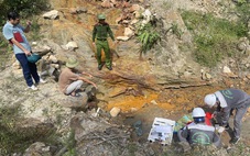Vụ cá suối chết ở Nghệ An: Xác định mỏ phát sinh nước thải