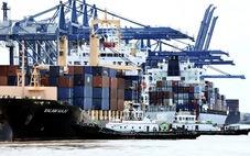 Doanh nghiệp điêu đứng với cước tàu biển, nguy cơ tăng giá hàng hóa