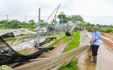 Sau bão số 3 Yagi: Đồng rau tan nát, siêu thị tăng cung ứng