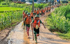 Phát hiện thêm 8 người thoát nạn trong vụ sạt lở Làng Nủ