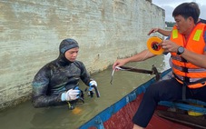 Hà Tĩnh kiểm tra an toàn cầu bắc qua sông Lam và sông Ngàn Sâu