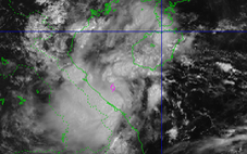Bão số 4 mạnh lên cấp 8 - 9, giật cấp 11, đang trên vùng biển ven bờ Quảng Bình - Thừa Thiên Huế