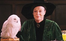 Maggie Smith, giáo sư McGonagall trong Harry Potter, qua đời ở tuổi 89