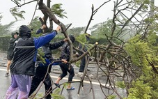 Hải Phòng gió bắt đầu đổi hướng thổi mạnh từ biển vào đất liền