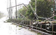 Chạy đua cấp điện trở lại