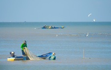 Săn cá, tép vùng biển bồi Kiên Giang đón Tết