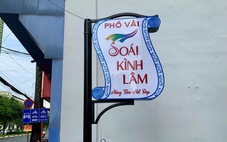 Chuyện đổi tên thành 'phố vải Soái Kình Lâm', phố là sao, chợ là thế nào?