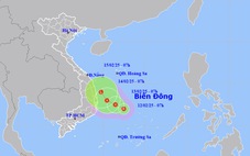 Nam Trung Bộ kêu gọi tàu thuyền tránh áp thấp nhiệt đới trên Biển Đông