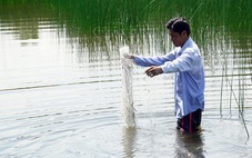 Ngăn xuyệt cá bằng cách nào?