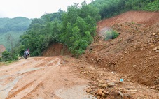 Định giá tiền tỉ, ba lần đấu giá không thành lô gỗ rừng tự nhiên để mở đường