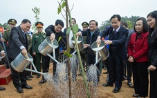 Chủ tịch nước Lương Cường: trồng cây bản địa, có khả năng chống chịu với biến đổi khí hậu