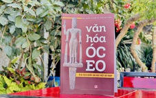 Văn hoá Óc Eo ở khu di tích quốc gia đặc biệt Gò Tháp