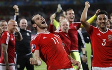 HLV Darby: “Euro 2016  nhiều bất ngờ thú vị”