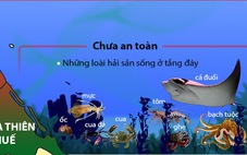 ​Hải sản nào an toàn và chưa an toàn ở bốn tỉnh miền Trung?