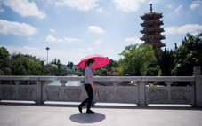 Nắng nóng nhất 145 năm, Thượng Hải báo động đỏ