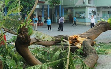 'Ta tên Ngọc hoàng, không phải Trách nhiệm'
