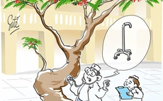 Nỗi lo của cây cổ thụ