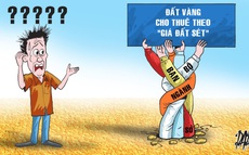 Bia mạng