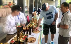 Doanh nghiệp nhỏ dẫn đầu tăng trưởng khu vực nhờ công nghệ
