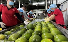 Doanh nghiệp thành lập tăng 42%, vốn ngoại đạt gần 25 tỉ đô la