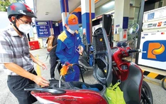 Giám sát chặt chất lượng xăng E10 cung ứng tới người tiêu dùng