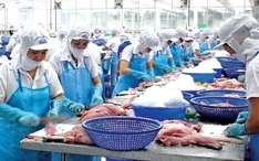 Những cổ phiếu cổ đông cô đặc